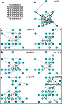 Corrigendum: Spectral Entropy Based Neuronal Network Synchronization Analysis Based on Microelectrode Array Measurements